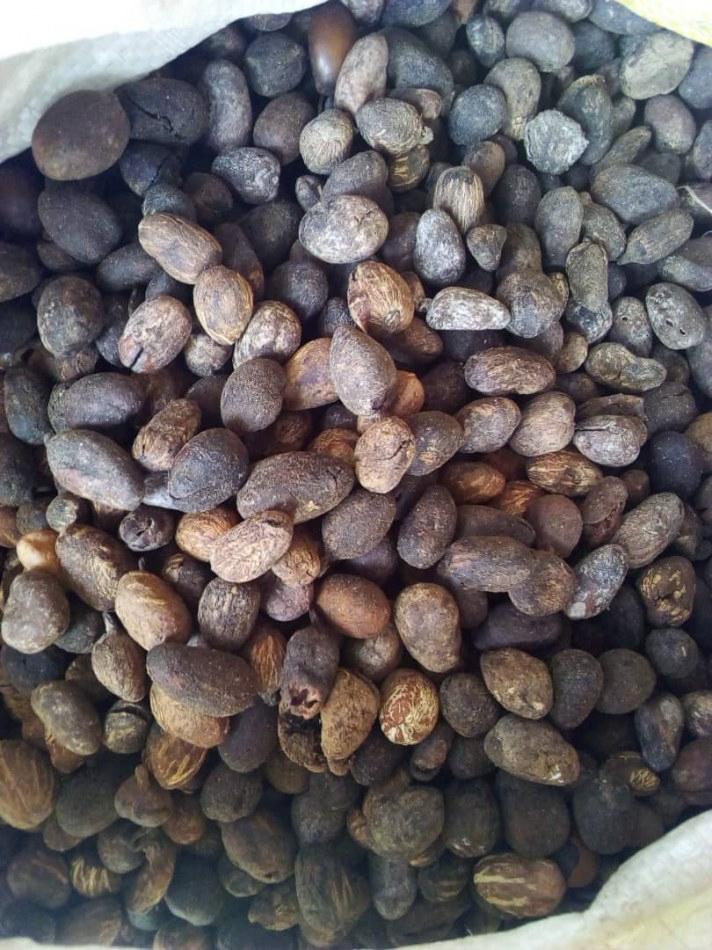 Amandes de karité réunies en vrac